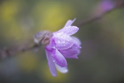 《爱逝》什么时候上映在哪看 《爱逝》播出平台时间